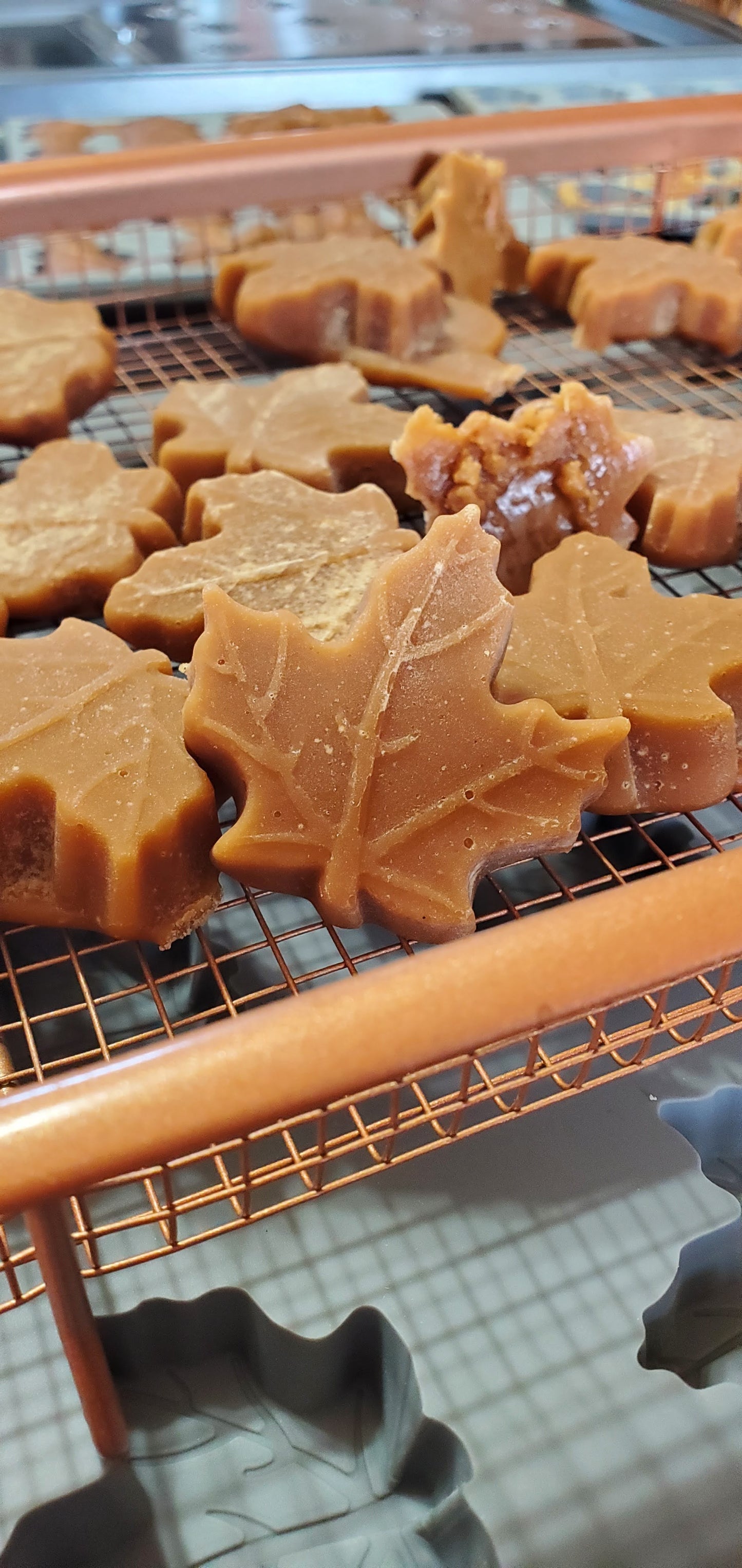 Our large leaf soft maple sugar candies.